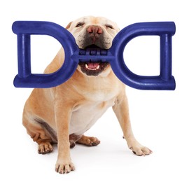 SuperChewy Tough Tug Pull Toy | Lifetime Replacement | Strong Natural Rubber | Interactive Tug-of-War Toy for Dogs | Ultra Durable Chew Toys for Aggressive Chewers | for Medium & Large Breeds