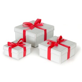 Gift Box with Bow, Gift Box with Lid, Gift Box with Ribbon and Tissue Paper, Set with Cardboard Gift Boxes for Wedding, Birthday, Christmas, Anniversary, Pack of 3, Various Sizes