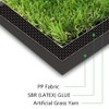 Petgrow Artificial Synthetic Grass Turf 2FTX10FT(20 Square FT) ,0.8" Pile