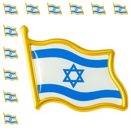 12/25/50/100 pieces small Israel flag lapel pins badge bulk (12)