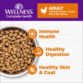 Wellness Complete Health Natural Dry Cat Food with Wholesome Grains, Made in USA with Real Meat (Adult Cat, Chicken & Chicken Meal Recipe, 5-Pound Bag)