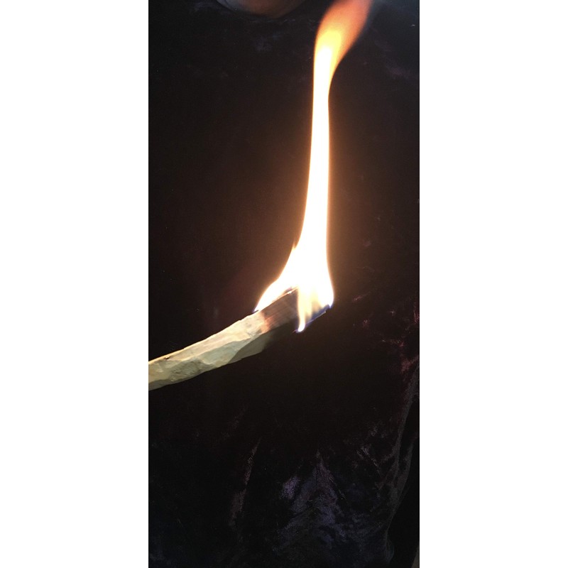 Palo Santo Holy Wood Incense Sticks 5 Pcs