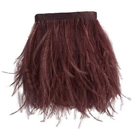 Sowder Ostrich Feathers Trims Fringe with Satin Ribbon Tape for Dress Sewing Crafts Costumes Decoration Pack of 2 Yards(Brown)
