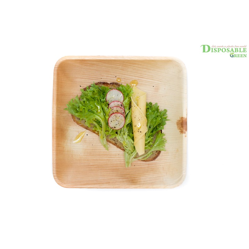 DISPOSABLE GREEN® | 25x25 CM Square Plates | 25 PCS