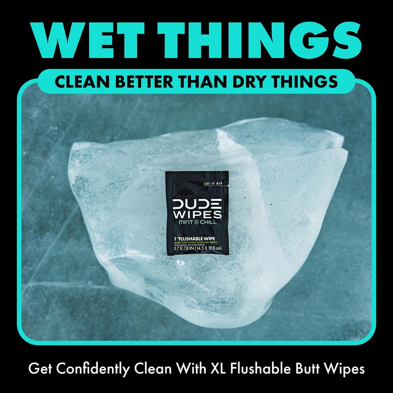 DUDE Wipes On-The-Go Flushable Wipes - 1 Pack, 30 Count