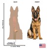 Cardboard People German Shepherd Life Size Cardboard Cutout Standup -