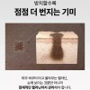 [Gift_실리콘 브러쉬 1개]샤르드 멜라케어 필크림 마스크 x 3개 [Gift_Silicone Brush