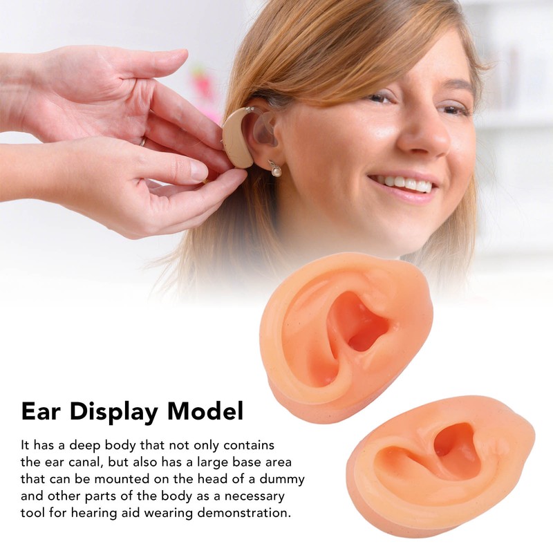 Silicone Ear Model Human Artificial Ear Display for Hearing Aids