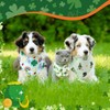Reginary 72 Packs Valentine's Day Dog Bandanas Bulk St. Patrick's