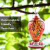 2 Pack Unique Hand Blown Glass Hummingbird Feeders for Outdoors