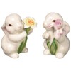 Appletree Appletree Designs Cosmos 10588 Salt & Pepper Shaker, 1
