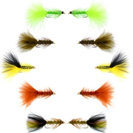 The Fly Fishing Place Basics Collection - Crystal Woolly Bugger Assortment - 10 Bead Head Wet Flies - 5 Patterns - Hook Size 4
