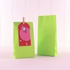 Vibrant Lime Green Paper Party Bags (Pack of 12) -