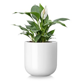 vancasso 8 Inch Ceramic Plant Pots, Planters with Drainage Hole, Flower Pots Planters Pots for Indoor Plants, Modern Indoor Decorative Garden Pot, Home Decor, White