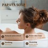 PALFICAB PALFICAB Papaya Soap | Exfoliating Bar Soap for Women