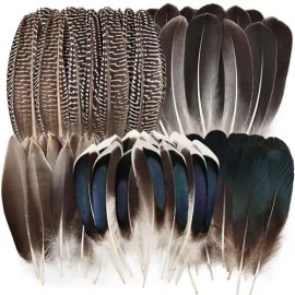 300 Pcs Small Feathers 10 Style Mixed Spotted Decorative Natual Pheasant Feather for DIY Crafts Clothing Jewelry Hair DecorationColor: Natural Gray-3