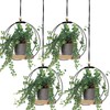 Geelin 4 Pack Plant Hanger with Wood Base Hanging Window