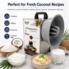 Coconut Scraper Electric 3 Speed Coconut Grater Machine Vertical Coconut
