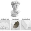 David Statue Flower Vase, David Head Bust Sculpture Planter, Resin