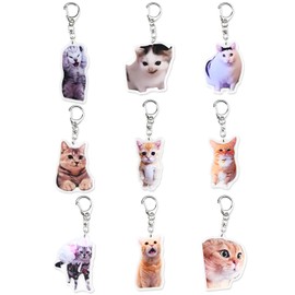 9Pcs Cat Keychain Cute Meme Keychains, Cat Themed Charm Key Chain, Kawaii Funny Keychains for Backpacks Bags Keyrings Car Accessories
