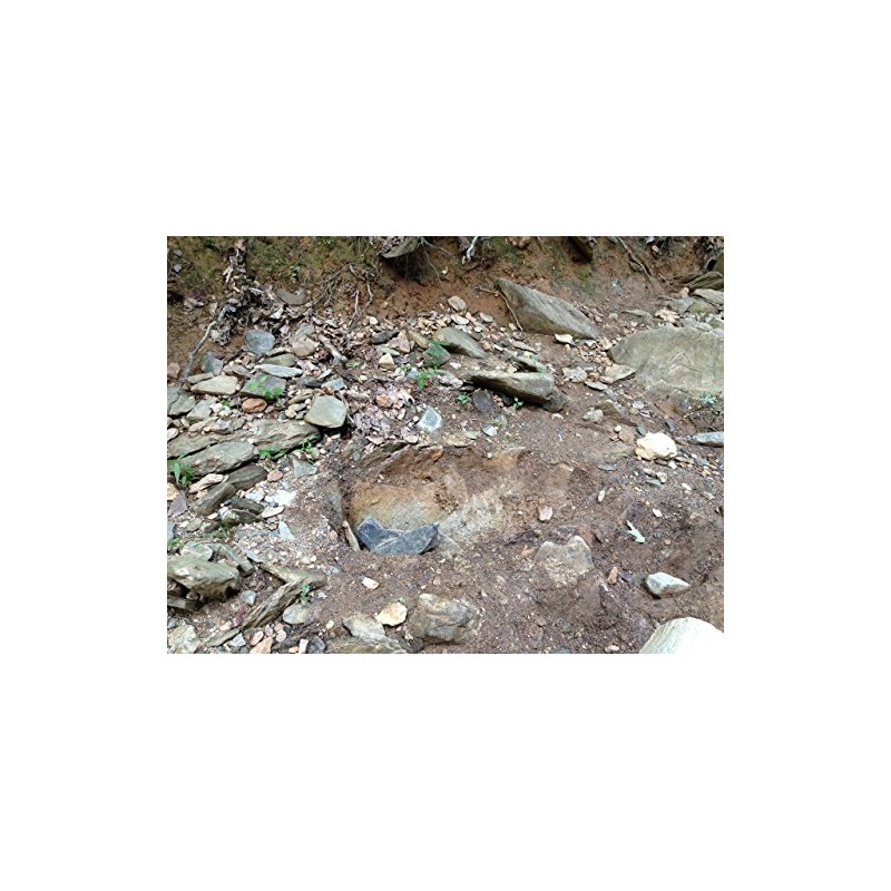 Goldn Gold Paydirt Stash Panning Pay Dirt Bag – Gold