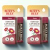 Anjumain Burt's Bees Tinted Lip Balm Daisy × 4.25g × 2 / 버츠비 틴티드 립 밤 데이지 × 4.25g × 2개