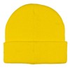 AI ACCESSORY INNOVATIONS Looney Tunes Tweety Bird Cuff Beanie, Jacquad