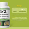 Natural Factors DGL Chewable - Digestive Support Supplement with Licorice