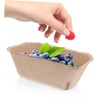AUTSUPPL Pack of 20 Cardboard Berry Baskets Made of Pulp