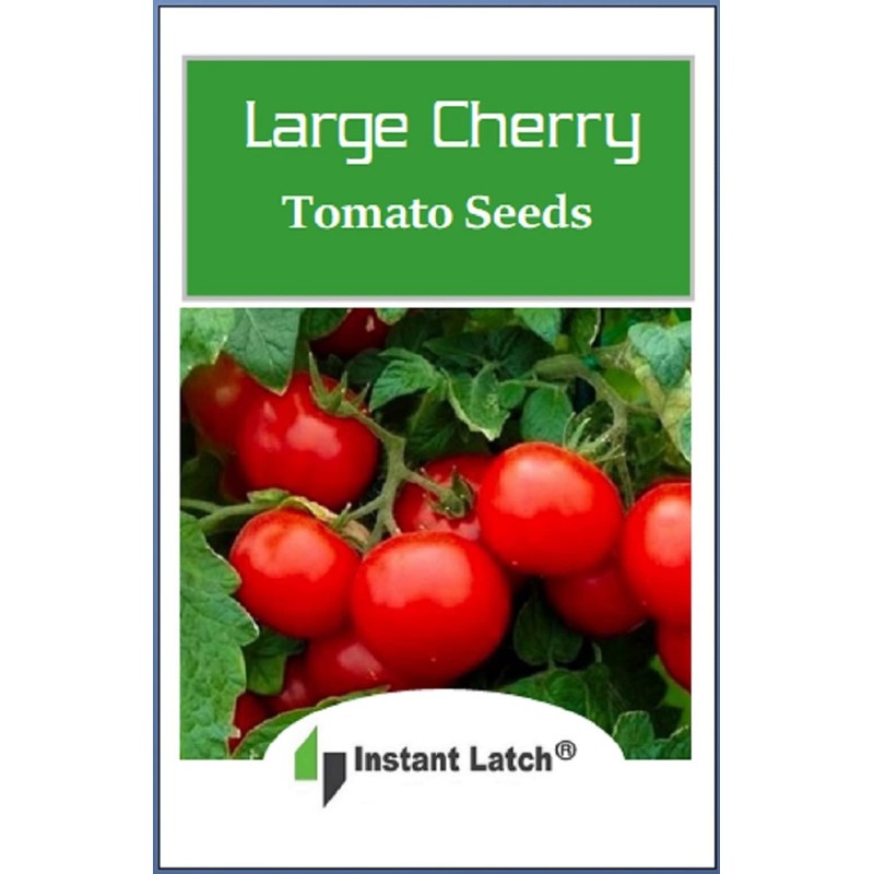 250 Cherry Tomato Seeds Large | Non-GMO | Fresh Garden