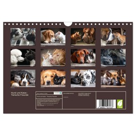Dog and cat - animal friends, US-Version (Wall Calendar 2026 DIN A4 Landscape), CALVENDO 12 Month Wall Calendar
