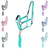 Majestic Ally HeadCollar Halter with Matching Lead Rope for Horses–Adjustable