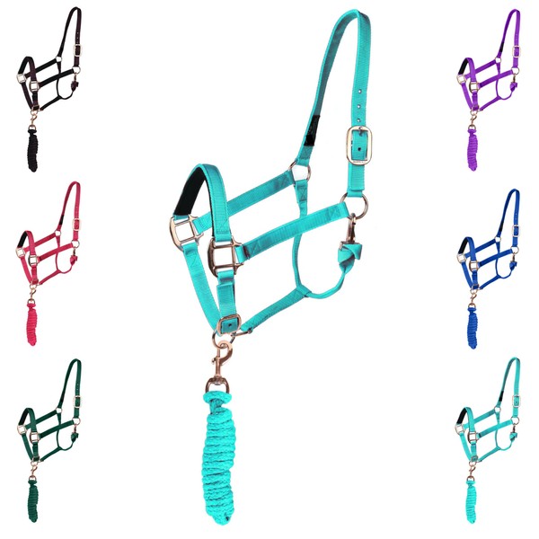 Majestic Ally HeadCollar Halter with Matching Lead Rope for Horses–Adjustable