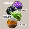 Suero Bifásico Acure Bakuchiol 20ml Antioxidante Líneas Finas