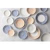 Fortessa Havana Vitrified China Coupe Rimless Plate 4 Pack, Blue,