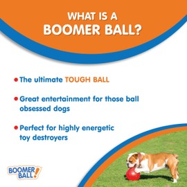 Company of Animals BOOMER BALL 8 Inch, Virtually Indestructible Best Dog Toy, Boredom Busting Football, Tough & Durable Large Dog Ball, Floats On Water, Great Mental Stimulation & High Energy Dogs, Assorted Colours