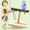 WishesMar 2 Pieces Parrot Toys Set Wooden Parrot Training Toy
