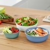 Rotho Tresa Bowl 0.35 L with Lid, Food-Grade Plastic (PP),