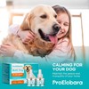 ProElobara Dog Calming Pheromone Diffuser: Dog Calming Pheromones Plug Diffuser
