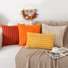 Pallene Faux Fur Plush Fall Throw Pillow Covers 20x20 Set