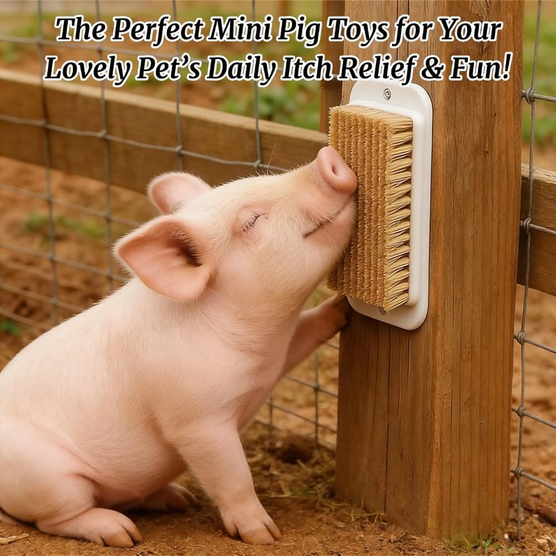 Toys for Pigs - 3-Pack Interactive Grooming Brushes | Pig