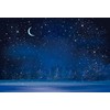 Renaiss 7x5ft Starry Night Backdrop Sky Moon Snowfall Photography Backdrops