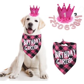Dog Birthday Party Supplies, Girl Dog Birthday Bandana Scarf and Dog Birthday Hat with Number. (Pink)
