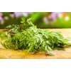 Chervil Seeds, 250+ Vertissimo, Heirloom, Non GMO Seeds, Anthriscus cerefolium