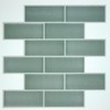 RoomMates TIL4984FLT: Sage Green Ceramic Sticktile