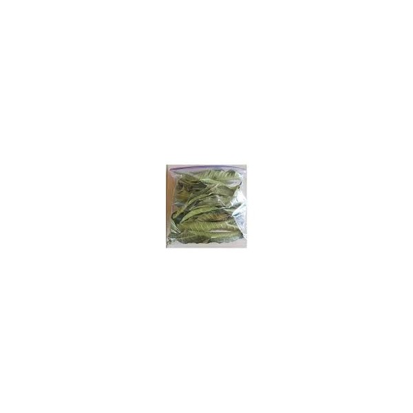 BSD Organics Mango leaves -50 Gram
