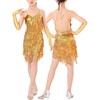 Happy Cherry Girl's Sequin Tassel Dress Latin Dance Skirt Costume