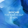 Head & Shoulders Supreme, Exfoliating Scalp Scrub Treatment, with Argan