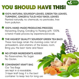 FreshDrinkUS, Premium 40 Tea Bags Soursop Green Tea, 100% Natural & Proprietary Blend from Soursop Leaves and Green Tea. Smooth Flavor. Made with Eco-Conscious Tea Bags. No Additives No Sugar, Vegan.