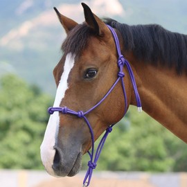 Harrison Howard Cabestro de entrenamiento de cuerda de caballo súper resistente con 4 nudos de 1/4 pulgadas, cordón halter rígido - morado